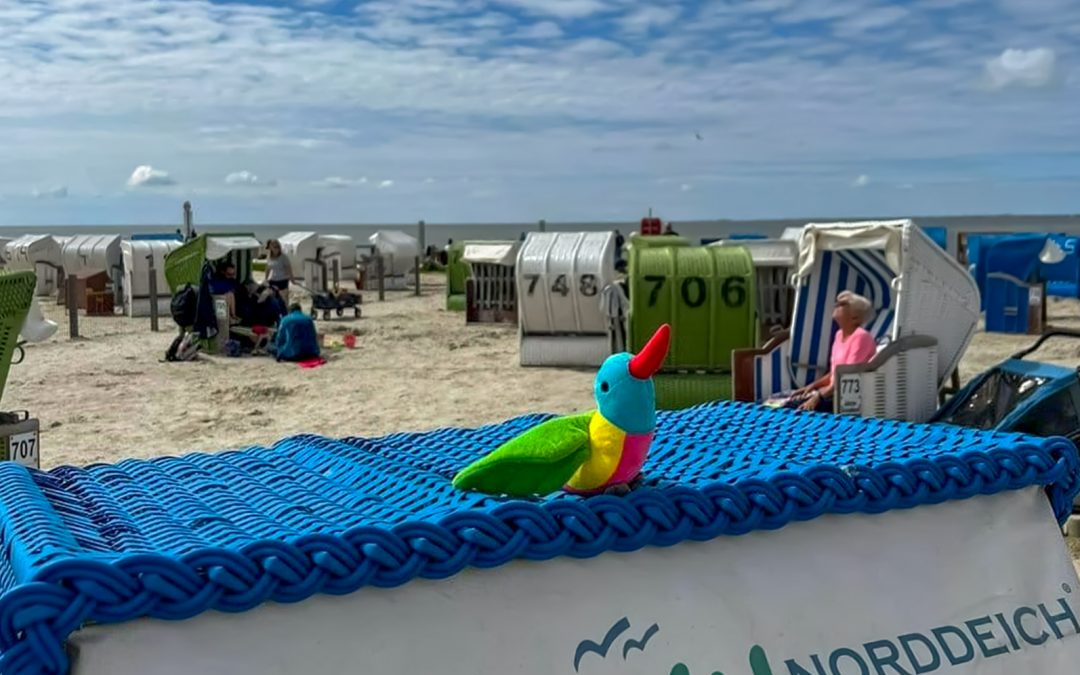 Unser “Kolibri von Trost” geht weiter auf Reisen