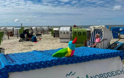 Unser „Kolibri von Trost“ geht weiter auf Reisen