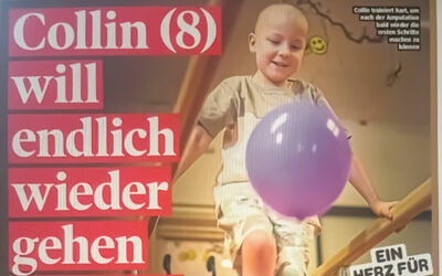 Ein spannender Artikel über Collins Geschichte in der Bild