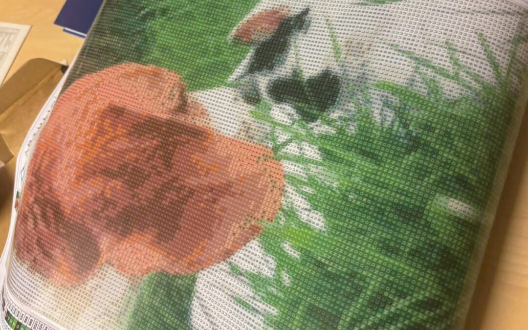 Ein ganz persönliches Diomond Painting für die 18-jährige Emely